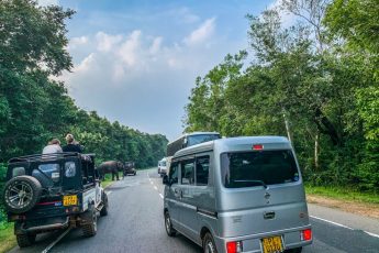 Best Cars for Sri Lanka Roads