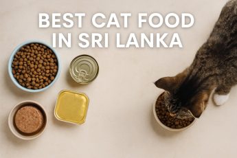 Best Cat Food in Sri Lanka